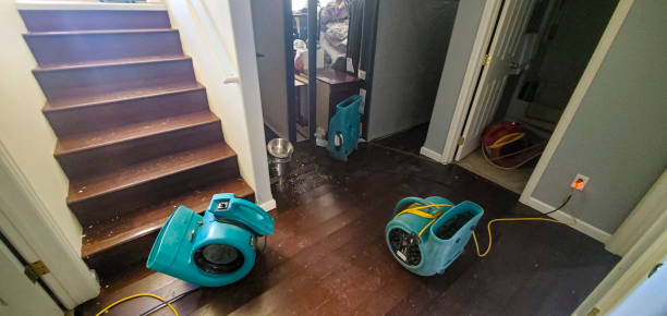 Best Flood restoration services  in Ferris, TX