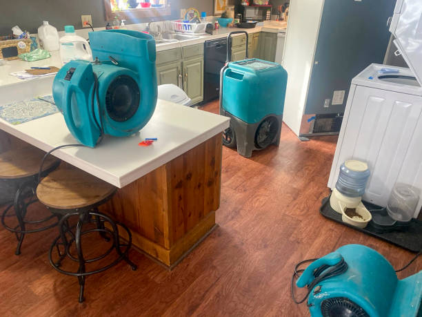Best Carpet water damage restoration  in Ferris, TX