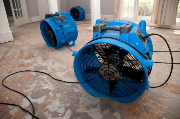Best Residential water damage restoration  in Ferris, TX