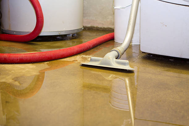 Best Fire Damage Restoration  in Ferris, TX