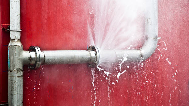 Best Basement water damage restoration  in Ferris, TX